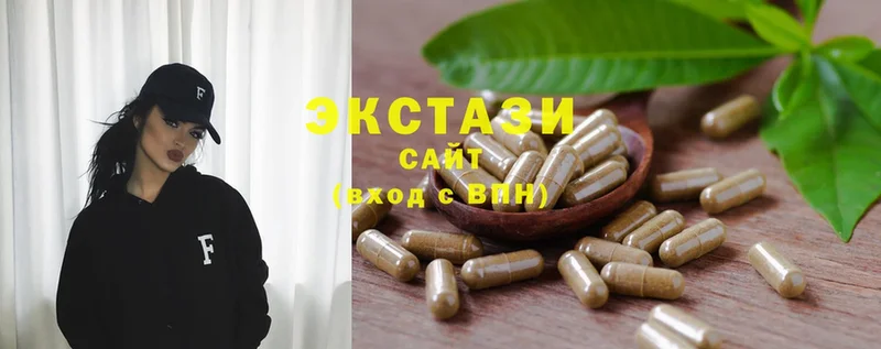 продажа наркотиков  Петровск-Забайкальский  Ecstasy TESLA 